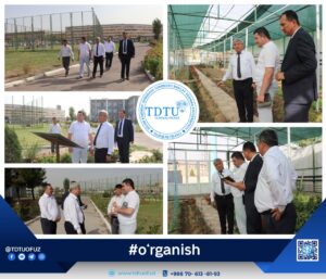 photo 2023 09 15 13 57 47