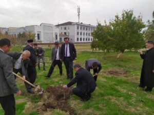 photo 2023 11 24 16 37 37