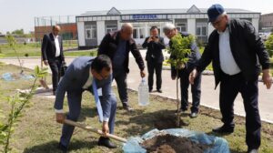 photo 2024 04 17 17 52 57