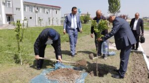 photo 2024 04 17 17 53 07