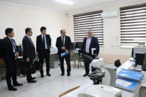 photo 2025 04 10 14 38 03