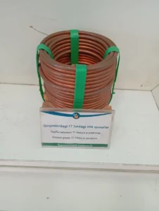 photo 2025 04 18 15 49 12