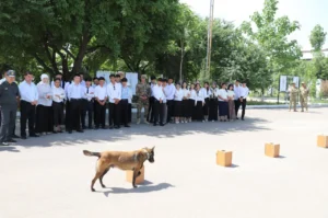 photo 2025 05 06 11 06 13