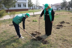 photo 2025 03 15 11 38 06 2