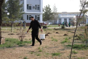 photo 2025 03 15 11 38 07 2