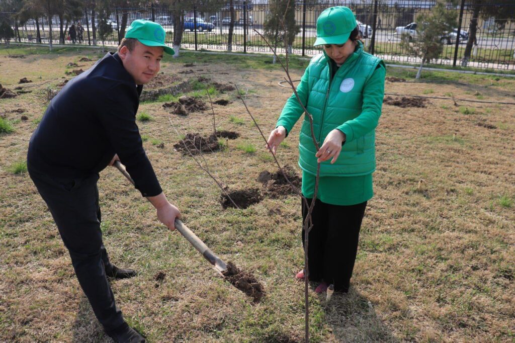 photo 2025 03 15 11 38 08