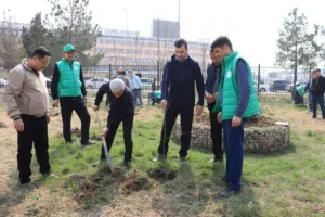 photo 2025 03 15 13 53 50 2