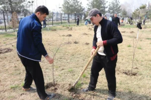 photo 2025 03 15 13 53 50