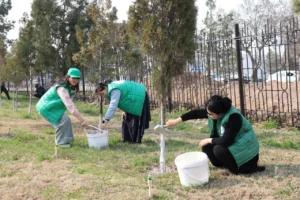 photo 2025 03 15 13 53 51