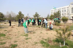 photo 2025 03 15 13 53 51 5