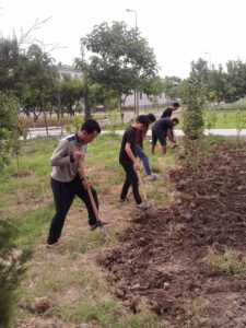 photo 2025 05 27 08 45 16