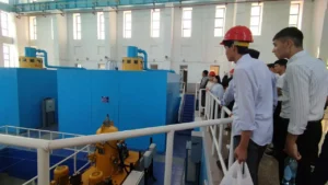 photo 2025 05 29 21 45 56