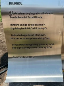 photo 2025 06 19 12 09 35 2