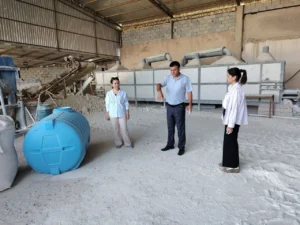 photo 2025 06 24 15 11 17