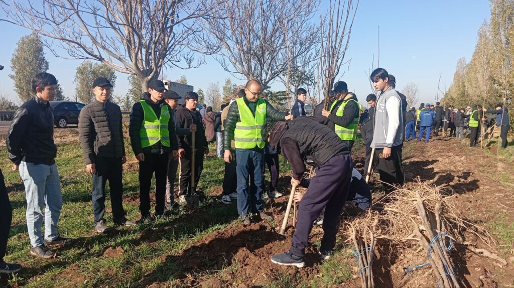 photo 2025 12 02 14 43 00