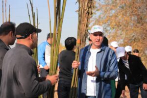 photo 2025 12 02 14 53 52