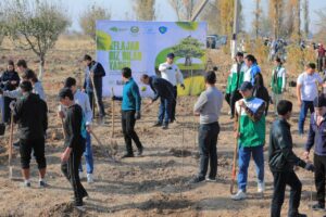 photo 2025 12 02 14 53 53