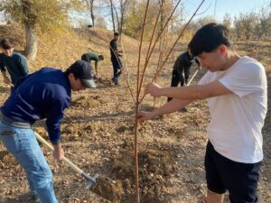 photo 2025 12 02 14 54 03